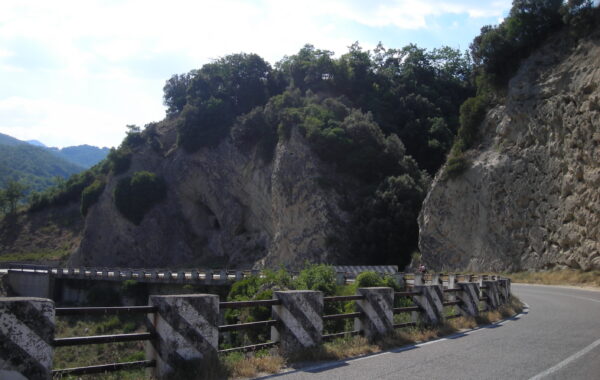DSCN2624