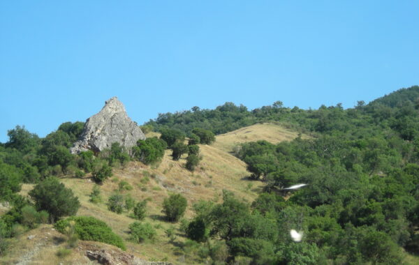 DSCN2625