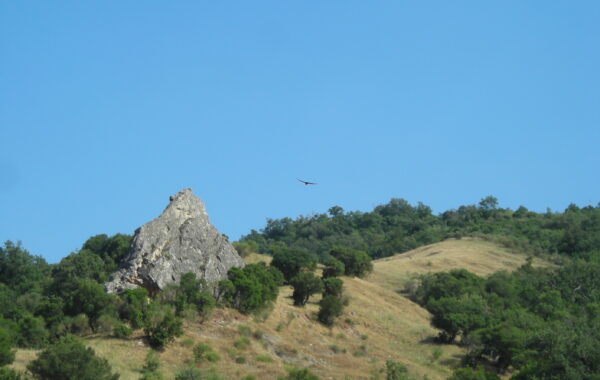 DSCN2627