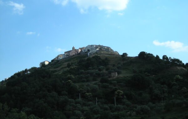 DSCN2628
