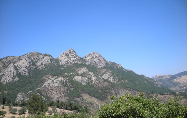 DSCN2631