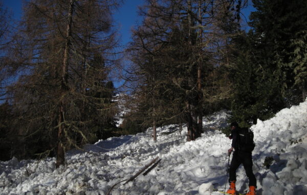 Beltovo-24-03-10-09-05-37