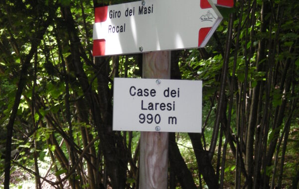 DSCN2519