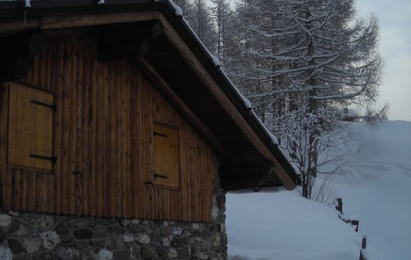 Ciste-12-03-10-09-45-43