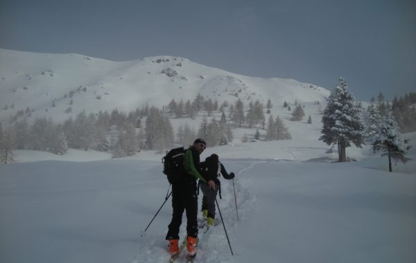 Ciste-12-03-10-10-07-55