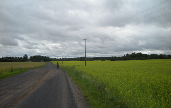 DSCN0510