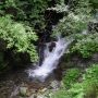 DSCN4689