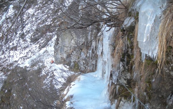 DSCN1806