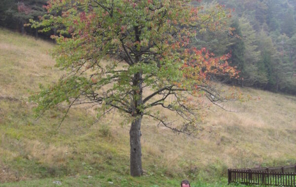 tremalzo_malgagiu-08-10-09-08-32-01