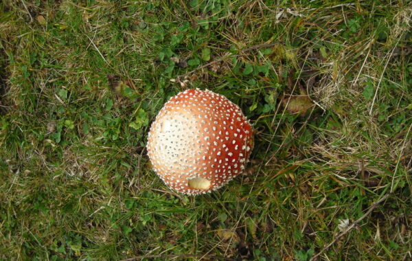 tremalzo_malgagiu-08-10-09-10-32-33