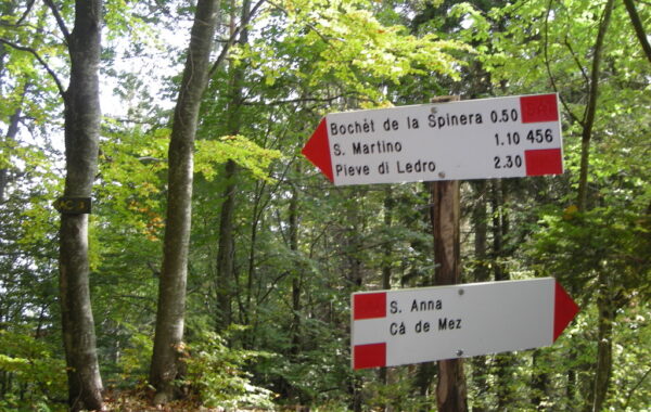 tremalzo_malgagiu-08-10-09-11-07-00