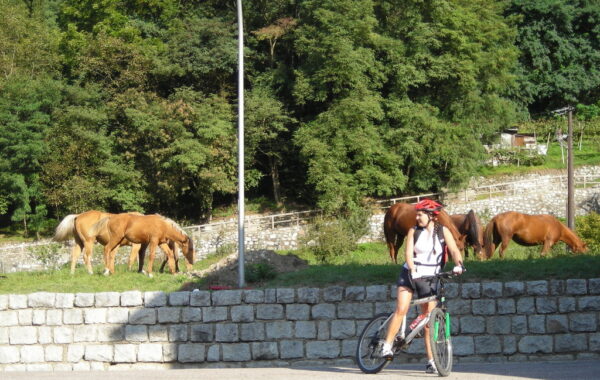 monte_lefre-04-10-09-09-57-05