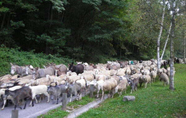 monte_lefre-04-10-09-09-59-40