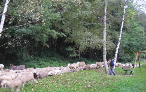 monte_lefre-04-10-09-10-00-02