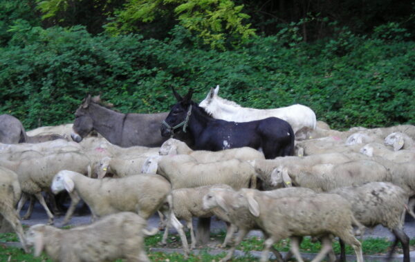 monte_lefre-04-10-09-10-00-10