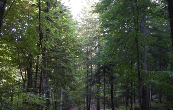 monte_lefre-04-10-09-10-42-52