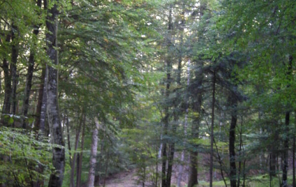 monte_lefre-04-10-09-10-42-59