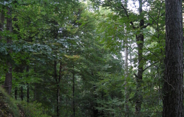 monte_lefre-04-10-09-10-51-07