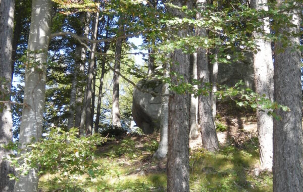 monte_lefre-04-10-09-12-43-48