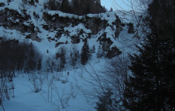 PortulePortaTrentina-26-03-09-09-45-02