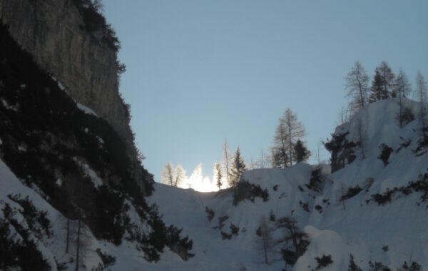 PortulePortaTrentina-26-03-09-10-33-21