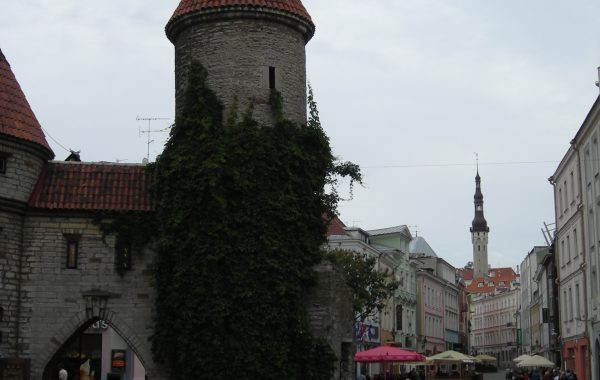 DSCN0449