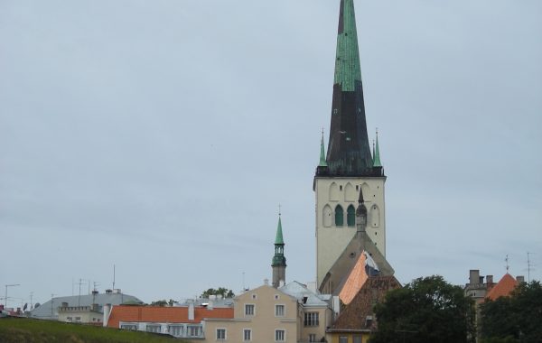 DSCN0481