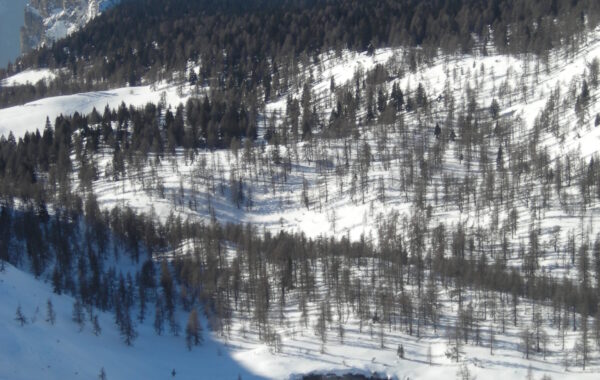 25Vigolana-Traversata-29-12-08-08-58-57