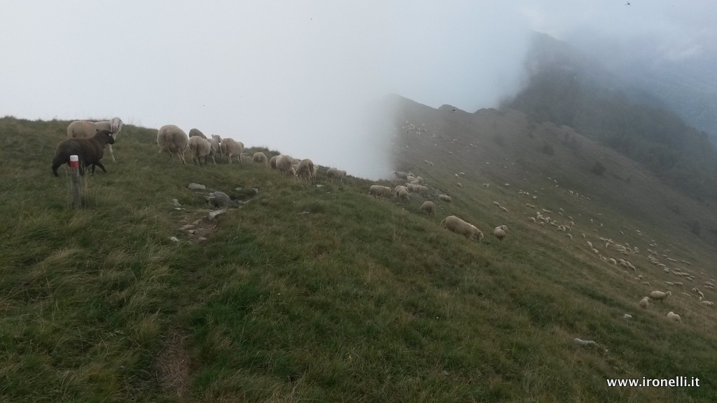 La cresta si fa più impegnativa