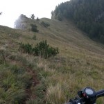 Dal bosco in fondo si riprende a pedalare