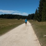 Verso Malga Millegrobbe