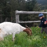 Relax alla Gasser Hutte Villandro