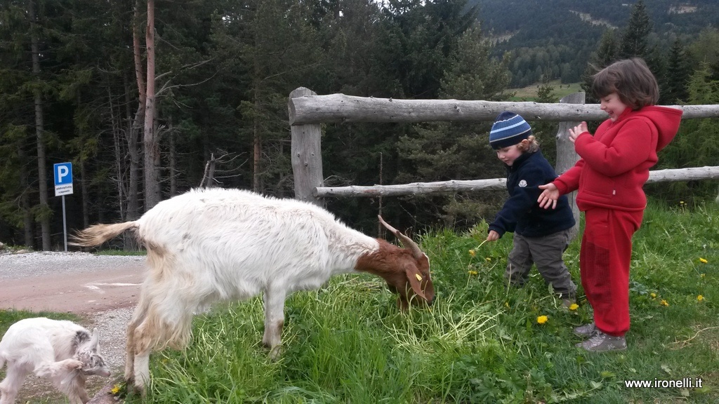 Relax alla Gasser Hutte Villandro