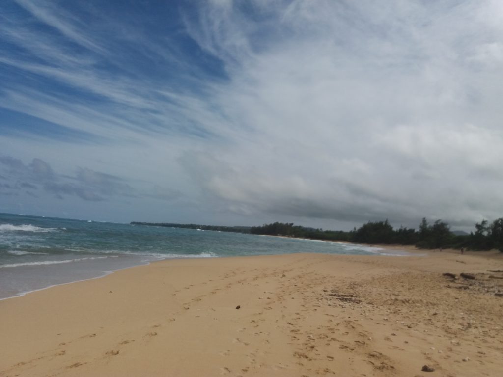 The big Baldwin beach in Paia, Maui, Hawaii