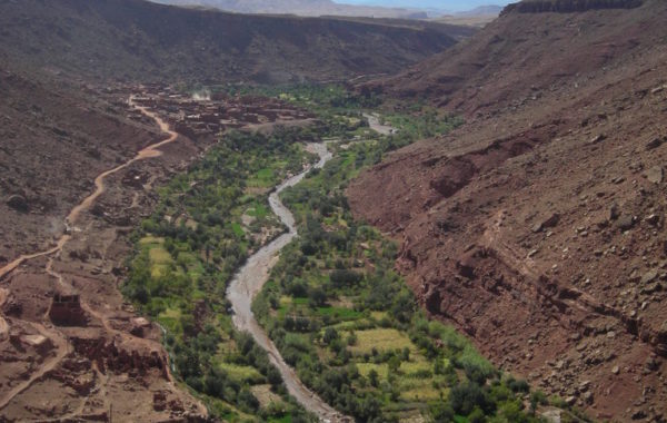 MaroccoBike-27-10-09-12-34-39-768×1024