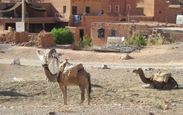 MaroccoBike-27-10-09-17-19-56-1024×768