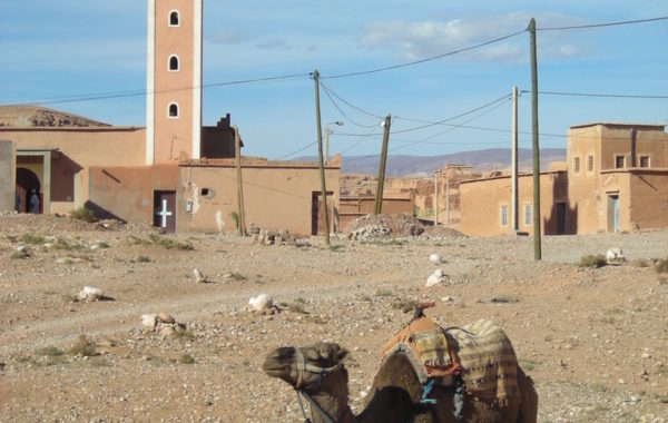 MaroccoBike-27-10-09-17-20-56-768×1024